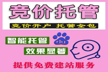 SEM代理实战：案例解析，效果惊人